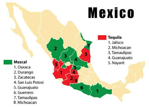 Tequila VS Mezcal