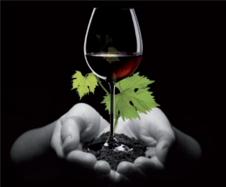 Qué es un vino ecológico y cuáles son los mejores