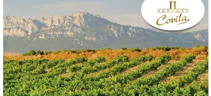 Bodegas Covila – Vinos de la Tierra de Rioja Alavesa