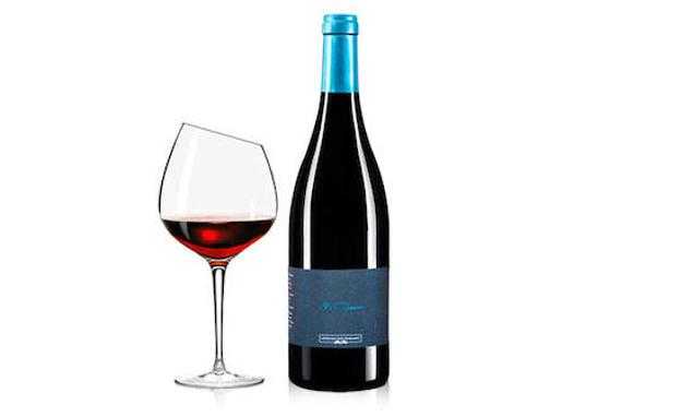 ¿Conoces la uva tinta Prieto Picudo con la que se elabora el exclusivo vino El Músico Tinto?